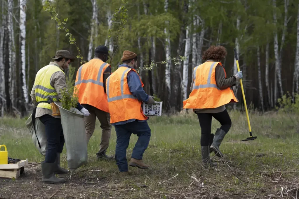 land clearing services